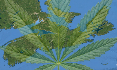 A photorealistic illustration featuring a vibrant green cannabis leaf superimposed over a geographical map of Nova Scotia. The map provides a textured background without specific text labels, highlighting the province's outline, while the leaf serves as the central focal point to represent the regional discussion on cannabis regulation.