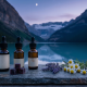 A serene, photorealistic widescreen shot of three amber glass apothecary dropper bottles with blank white labels, resting on a rustic slate slab. Beside the bottles are a small stack of dark purple gummies, a sprig of fresh lavender, several delicate white chamomile flowers, and a small pine cone. The scene is set outdoors during the