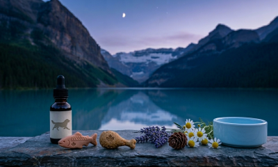 A serene, photorealistic widescreen photograph set during the cool 