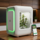 A modern, automated home-grow cannabis appliance sits on a kitchen counter next to a smartphone displaying its control app.