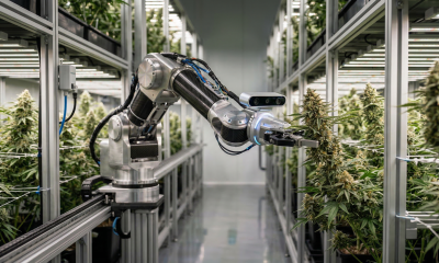 Photorealistic robotic arm with an integrated camera system harvesting a cannabis flower in a high-tech vertical indoor cultivation facility.