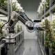 Photorealistic robotic arm with an integrated camera system harvesting a cannabis flower in a high-tech vertical indoor cultivation facility.