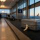 A solitary, hard-shell suitcase with an attached red Customs 'ALERT' sticker moves along a deserted airport baggage carousel, illustrating the risks of international smuggling.