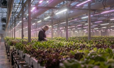 Hydrofarm Prices $8.3 Million Offering and Terminates $109 Million Loan