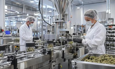 Organigram Wraps Sanity Integration and Targets $8M to $10M in Savings