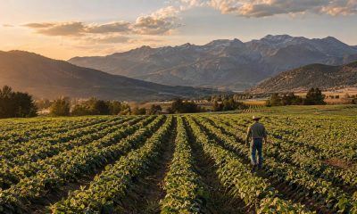 Spherex to Acquire Two Colorado Cultivation Facilities in First Deal