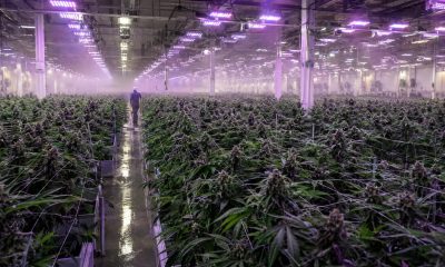 Trulieve Secures Alien Labs and Connected Rights in Florida and Texas